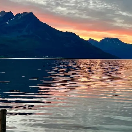 Norwegian Dream *
