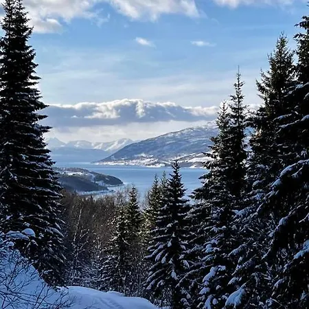 Norwegian Dream