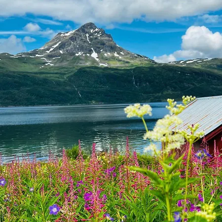 Norwegian Dream *