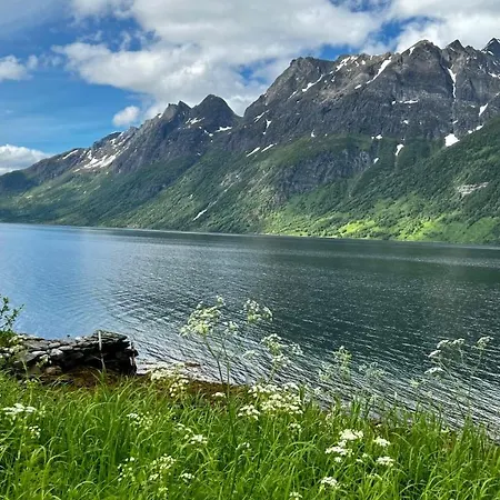Norwegian Dream Appartement