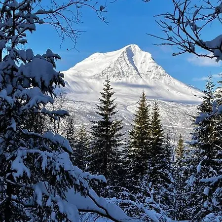 Norwegian Dream *